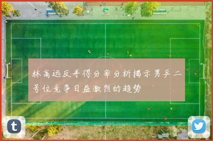 林高远反手得分率分析揭示男乒二号位竞争日益激烈的趋势