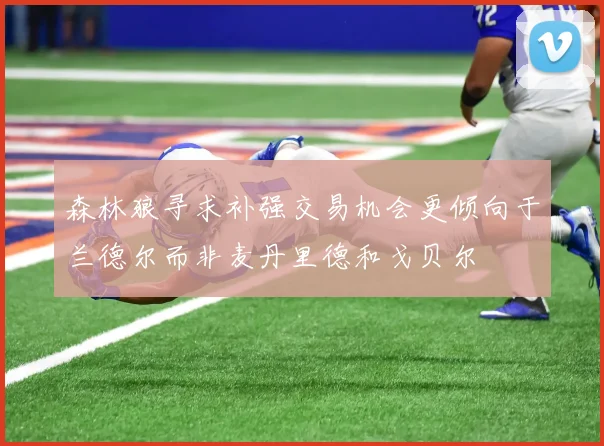 森林狼寻求补强交易机会更倾向于兰德尔而非麦丹里德和戈贝尔