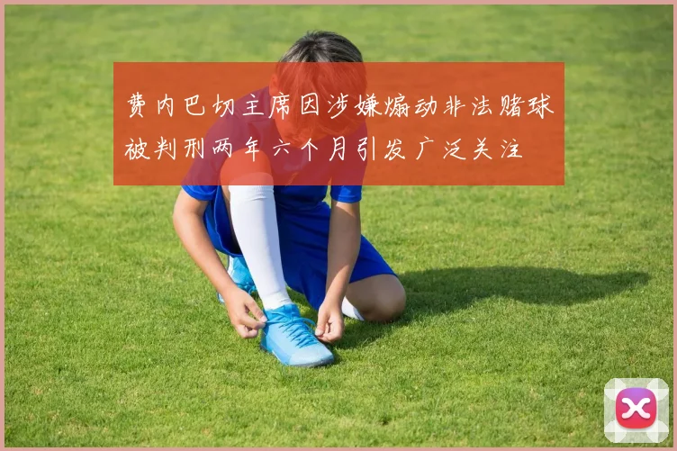 费内巴切主席因涉嫌煽动非法赌球被判刑两年六个月引发广泛关注