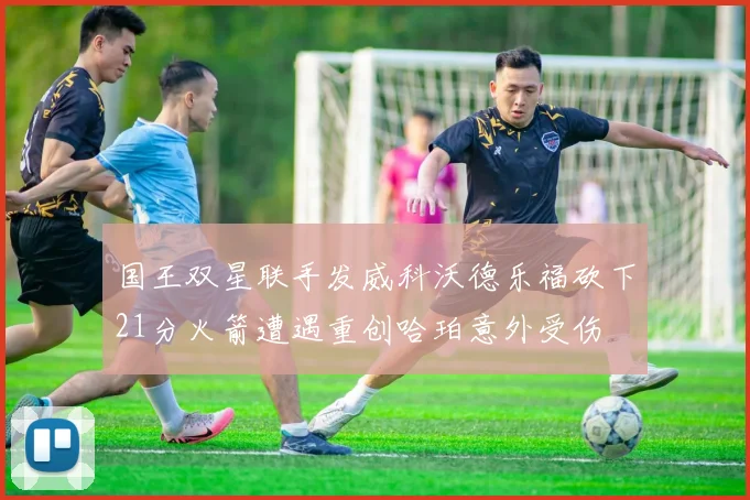 国王双星联手发威科沃德乐福砍下21分火箭遭遇重创哈珀意外受伤