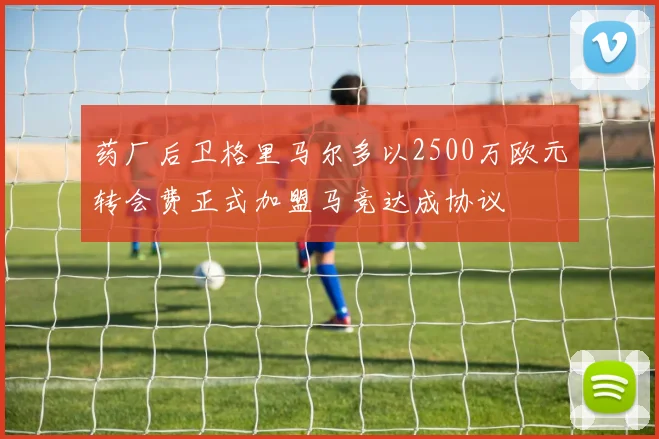 药厂后卫格里马尔多以2500万欧元转会费正式加盟马竞达成协议